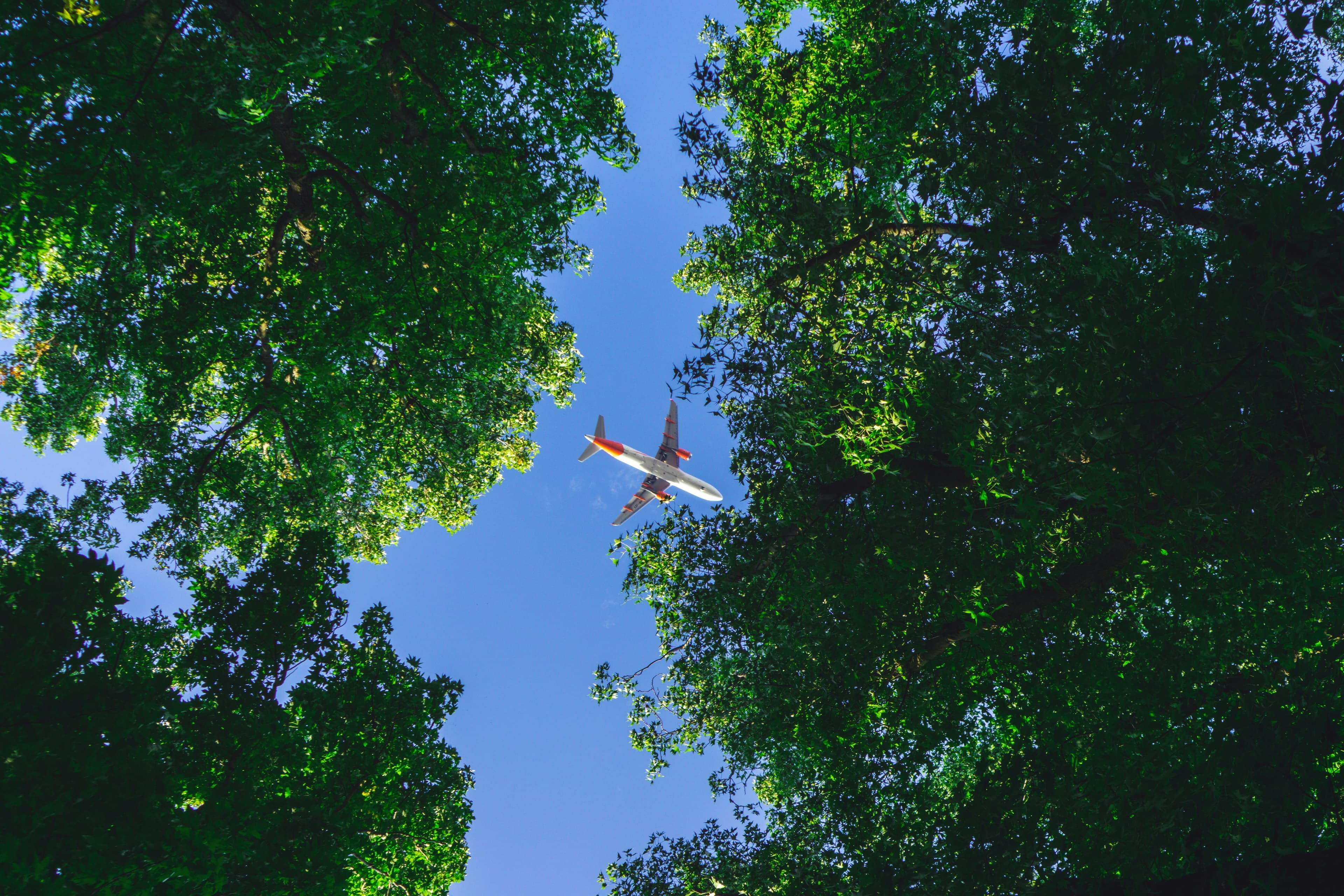 Choosing a Credible Carbon Offset Program for Your Flights